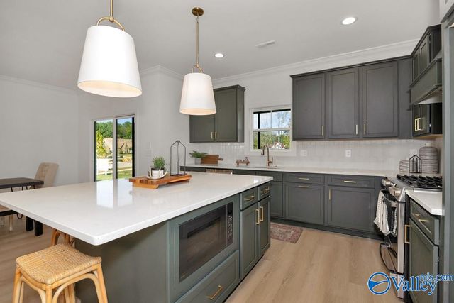 101 Stenness Branch, Madison, AL 35756