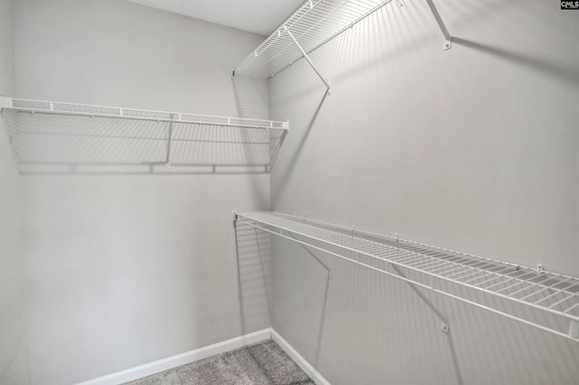 420 Pitchling Drive, Columbia, SC 29223