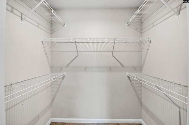 420 Pitchling Drive, Columbia, SC 29223