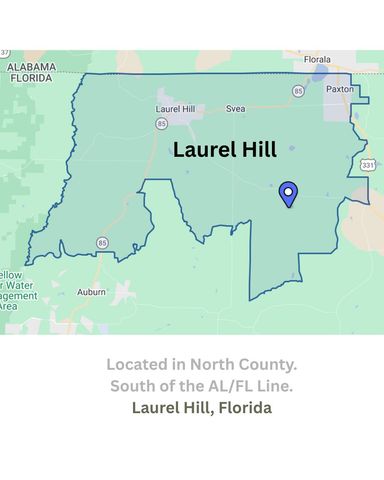 1133 Show Horse Way, Laurel Hill, FL 32567