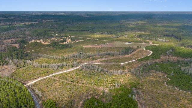 1133 Show Horse Way, Laurel Hill, FL 32567