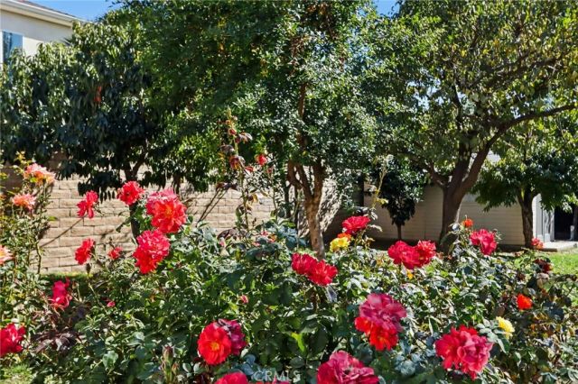 13816 Bessemer Street, Van Nuys, CA 91401