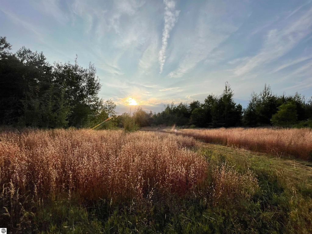 Sunset over a grassy field with trees, showcasing the natural beauty of a 7.63-acre parcel in Manton, MI, ideal for outdoor retreats or building a home.