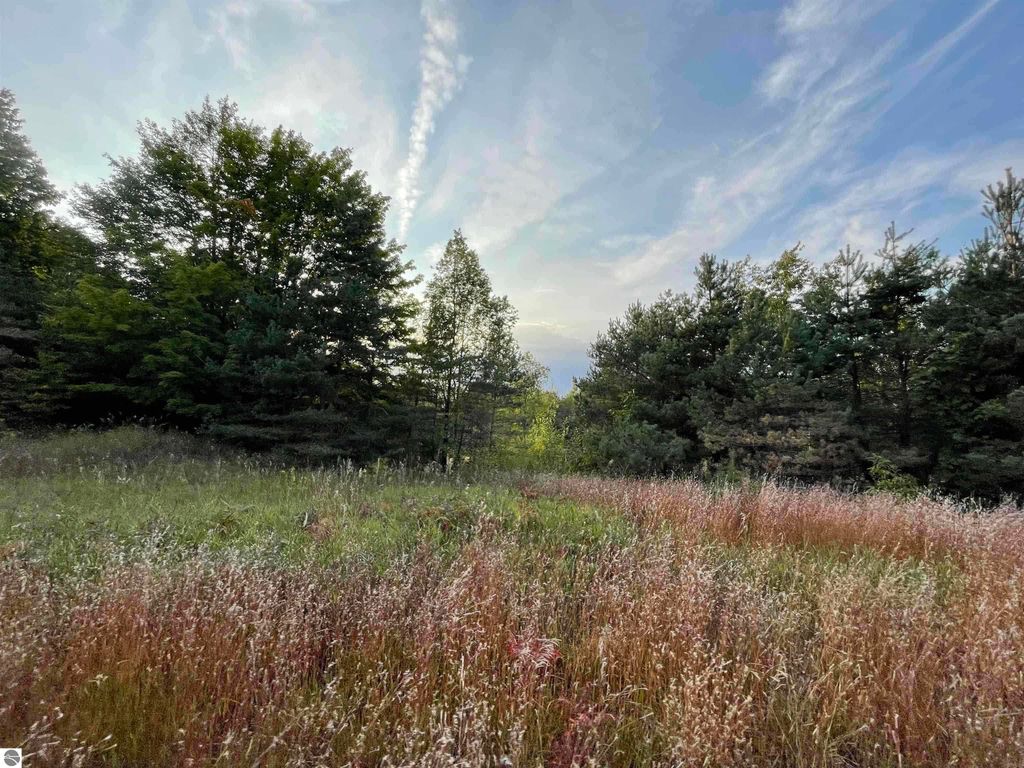Scenic view of 7.63-acre parcel in Manton, MI, featuring lush trees and wildflowers, ideal for outdoor retreat or hunting getaway.