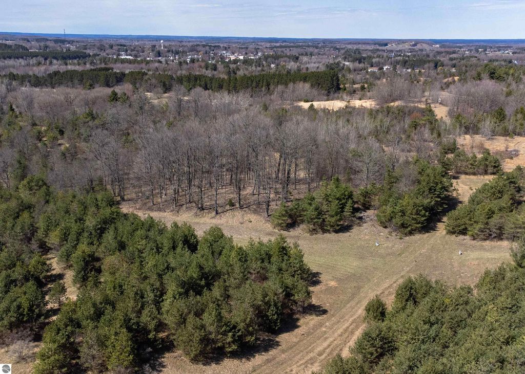 Aerial view of 7.63-acre wooded parcel in Manton, MI, featuring a mix of evergreen and deciduous trees, showcasing potential for outdoor retreat or home site.