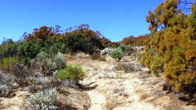 37245 Old Forest, Anza, CA 92539