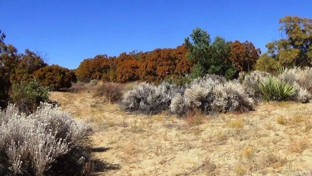37245 Old Forest, Anza, CA 92539