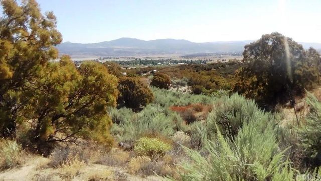 37245 Old Forest, Anza, CA 92539