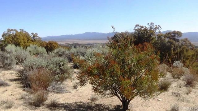 37245 Old Forest, Anza, CA 92539