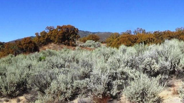 37245 Old Forest, Anza, CA 92539