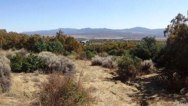 37245 Old Forest, Anza, CA 92539