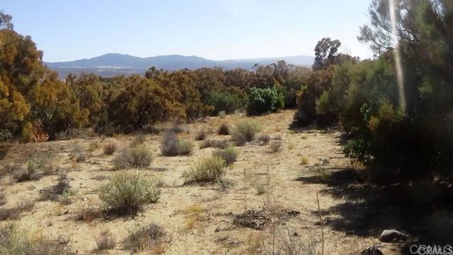 37245 Old Forest, Anza, CA 92539