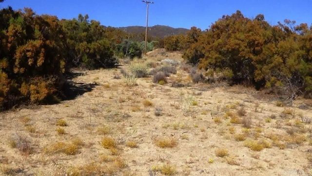 37245 Old Forest, Anza, CA 92539