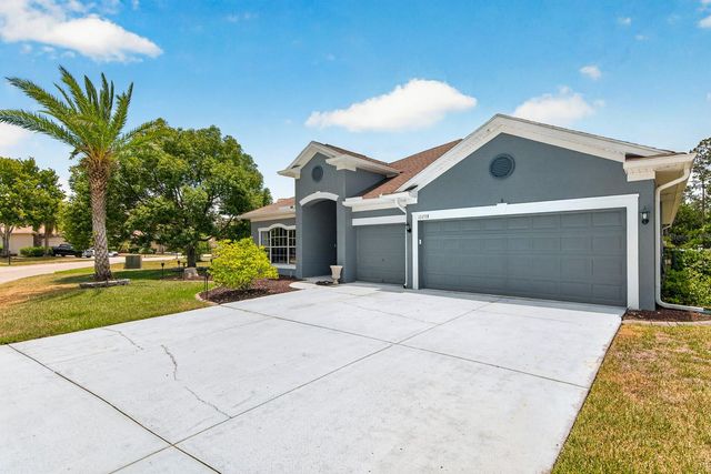 11238 BIDDEFORD PLACE, New Port Richey, FL 34654