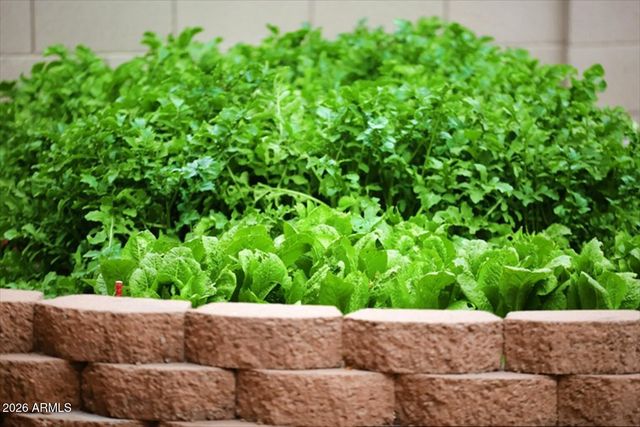 18132 W TOWNLEY Avenue, Waddell, AZ 85355