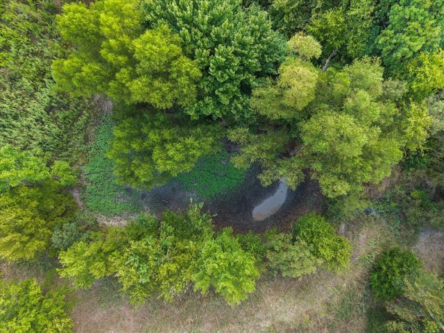 TBD County Road 3230, Lone Oak, TX 75453