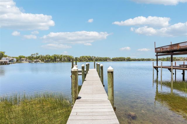 17810 CRAWLEY ROAD, Odessa, FL 33556