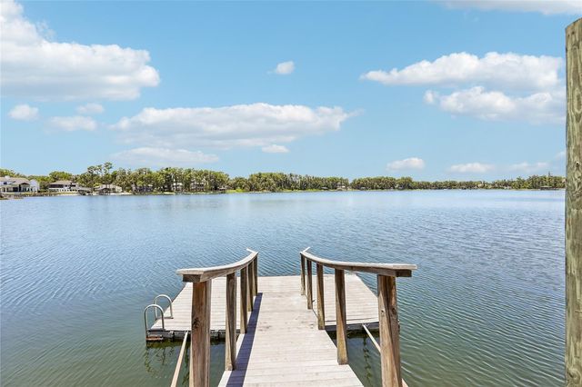 17810 CRAWLEY ROAD, Odessa, FL 33556