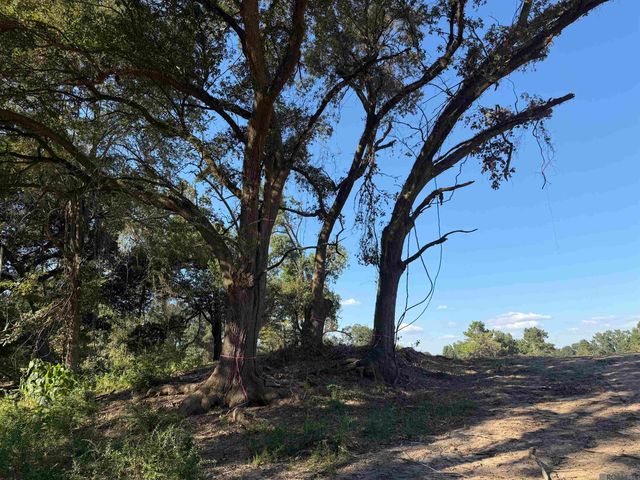 30 N Stately Oaks Dr, Saint George, LA 70810