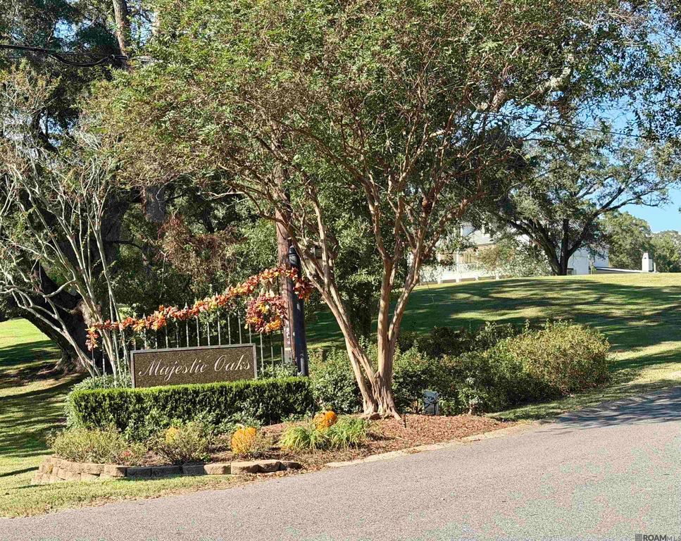 30 N Stately Oaks Dr, Saint George, LA 70810