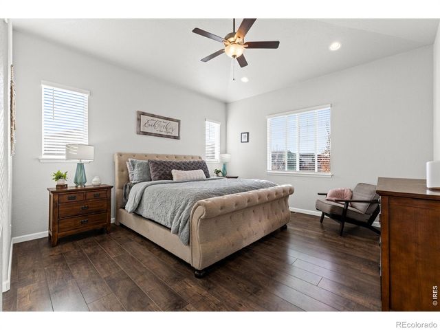 295 Redmond Drive, Windsor, CO 80550