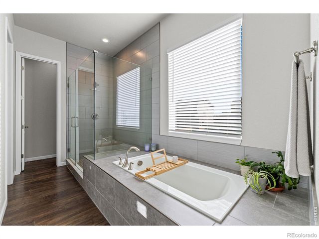 295 Redmond Drive, Windsor, CO 80550