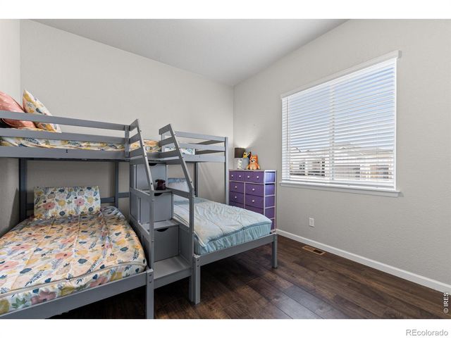 295 Redmond Drive, Windsor, CO 80550