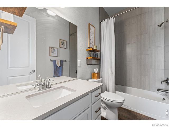 295 Redmond Drive, Windsor, CO 80550