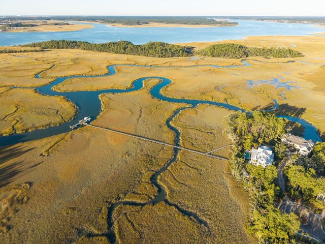 268 Marsh Ibis Trail, Mount Pleasant, SC 29464