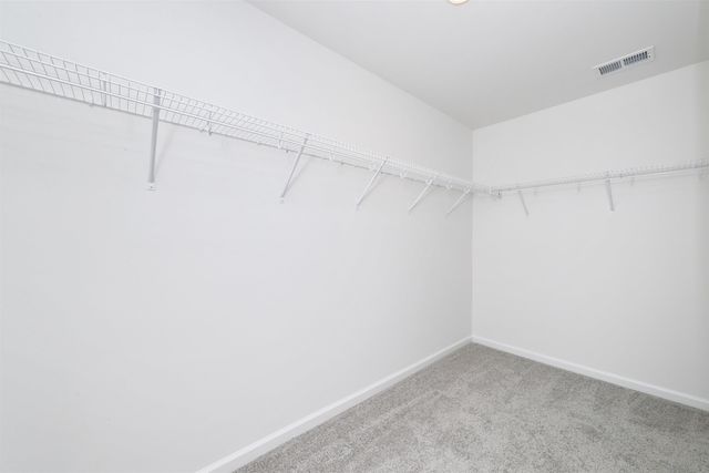 461 Atamasco Ct., Conway, SC 29526