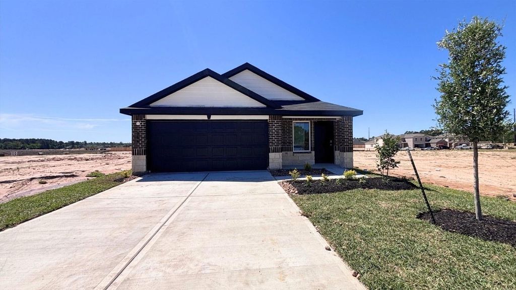 256 Elm Spring Drive, Hockley, TX 77447