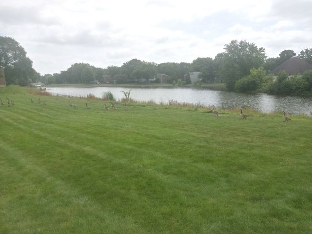 1480 Stonebridge Circle D-1, Wheaton, IL 60189