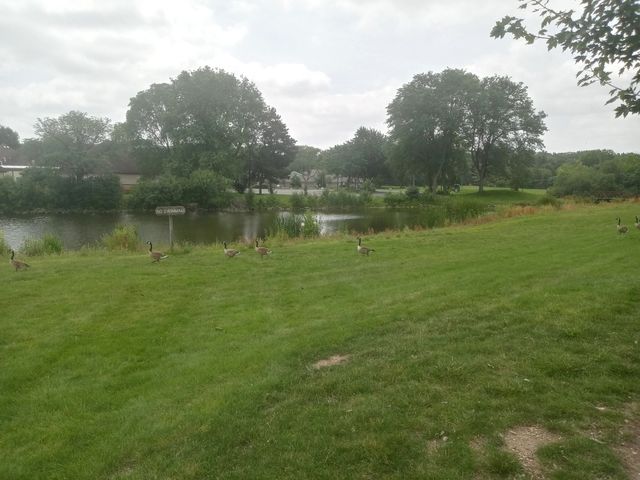 1480 Stonebridge Circle D-1, Wheaton, IL 60189