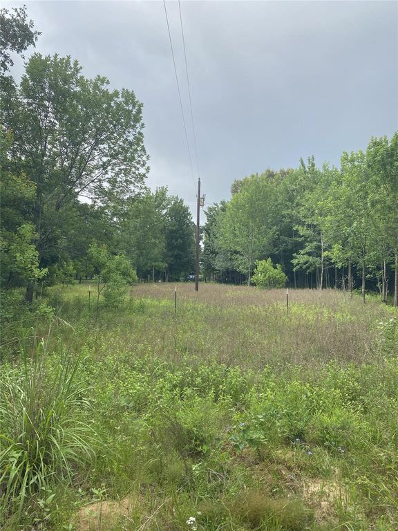 NA Cr 3052, Crockett, TX 75835