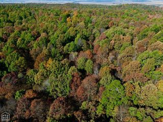 1 000 Greene 125 Road, Beech Grove, AR 72450