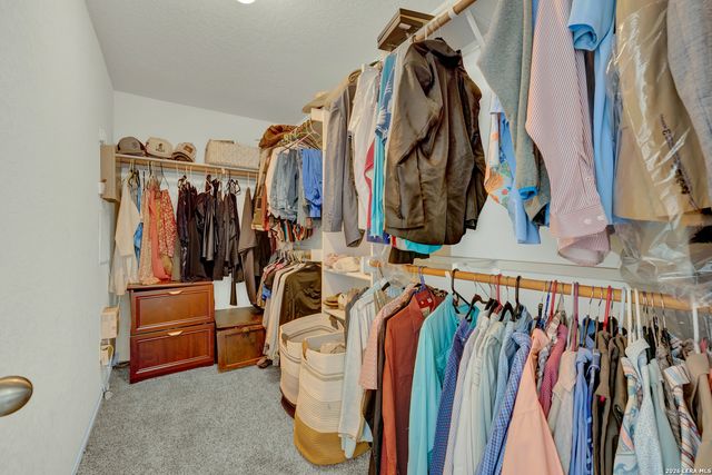 3132 Muntjac, Schertz, TX 78154