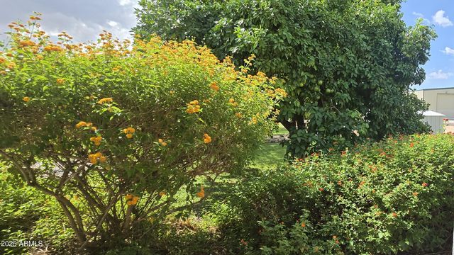 17633 W OCOTILLO Road, Waddell, AZ 85355