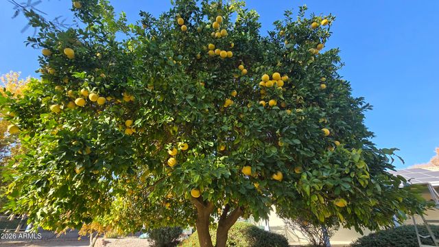 17633 W OCOTILLO Road, Waddell, AZ 85355