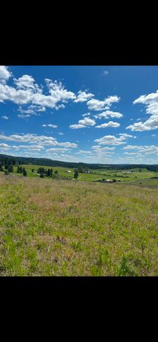 11707 E Tallman Rd, Chattaroy, WA 99003