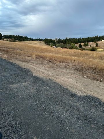 11707 E Tallman Rd, Chattaroy, WA 99003