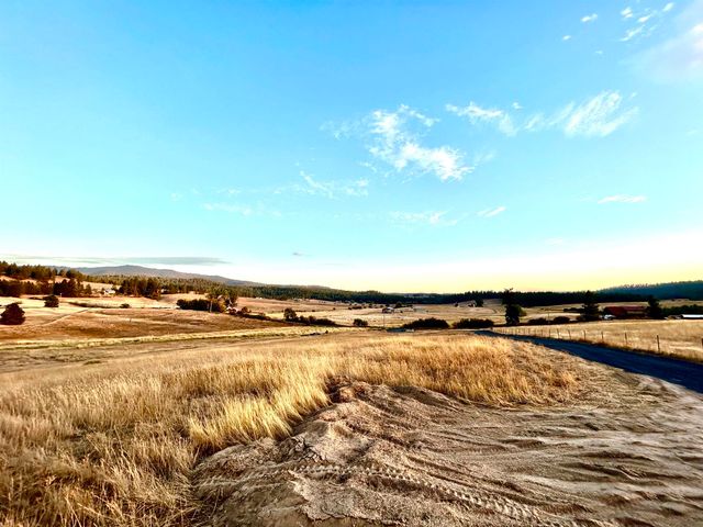 11707 E Tallman Rd, Chattaroy, WA 99003