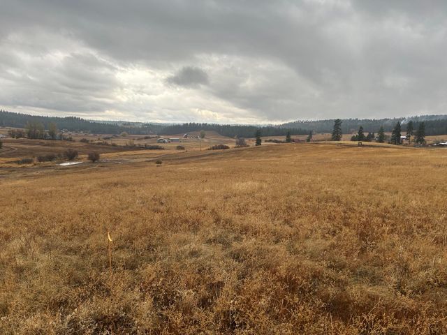 11707 E Tallman Rd, Chattaroy, WA 99003