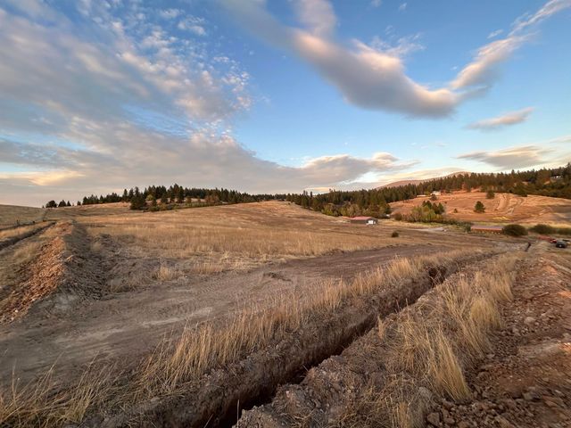 11707 E Tallman Rd, Chattaroy, WA 99003