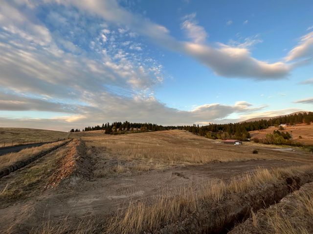 11707 E Tallman Rd, Chattaroy, WA 99003