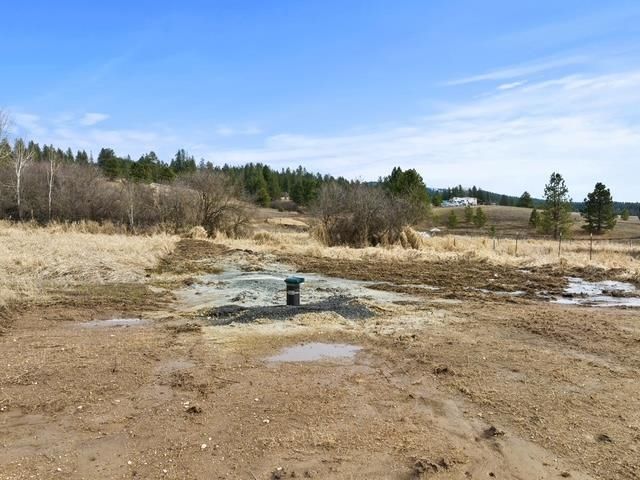 11707 E Tallman Rd, Chattaroy, WA 99003