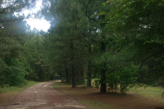 12149 County Road 224, Arp, TX 75750