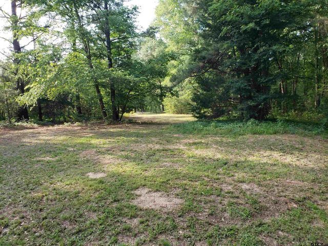 12149 County Road 224, Arp, TX 75750