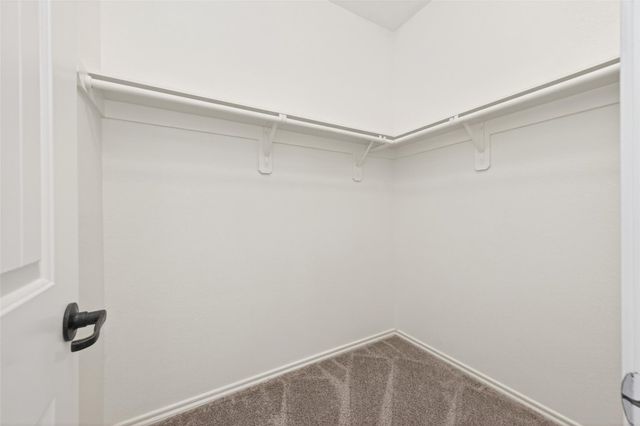 3 Black Swan Court, Magnolia, TX 77354
