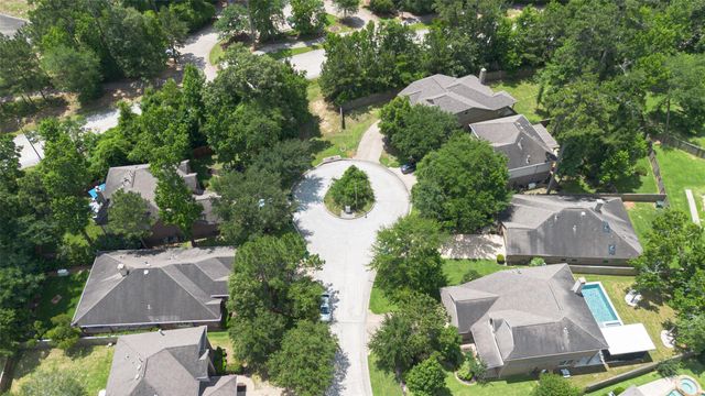 3 Black Swan Court, Magnolia, TX 77354