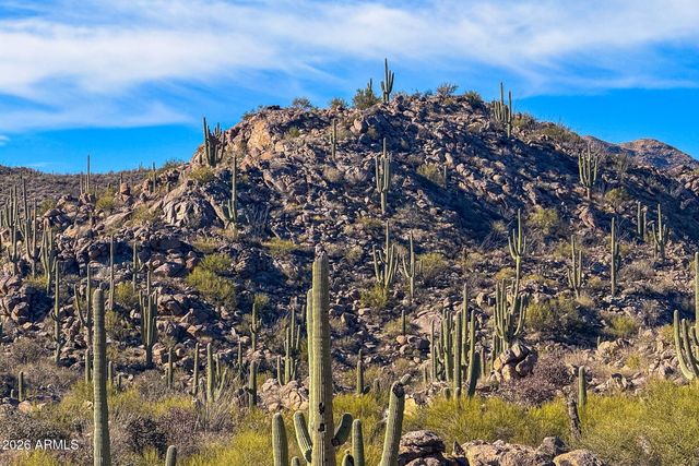 1313 W TORTOLITA MOUNTAIN Circle, Oro Valley, AZ 85755